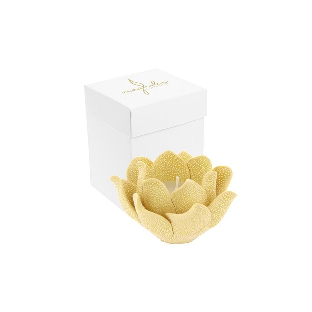 CANDELA MAGNOLIA GIALLO PORCELLANA GOCCE DI RUGIADA 10X6.5 C BOX